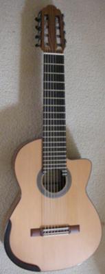 STEPHEN KAKOS - 8 STRING TERZ GUITAR 