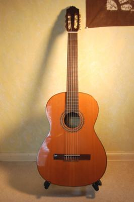  Esteve Classical Guitar